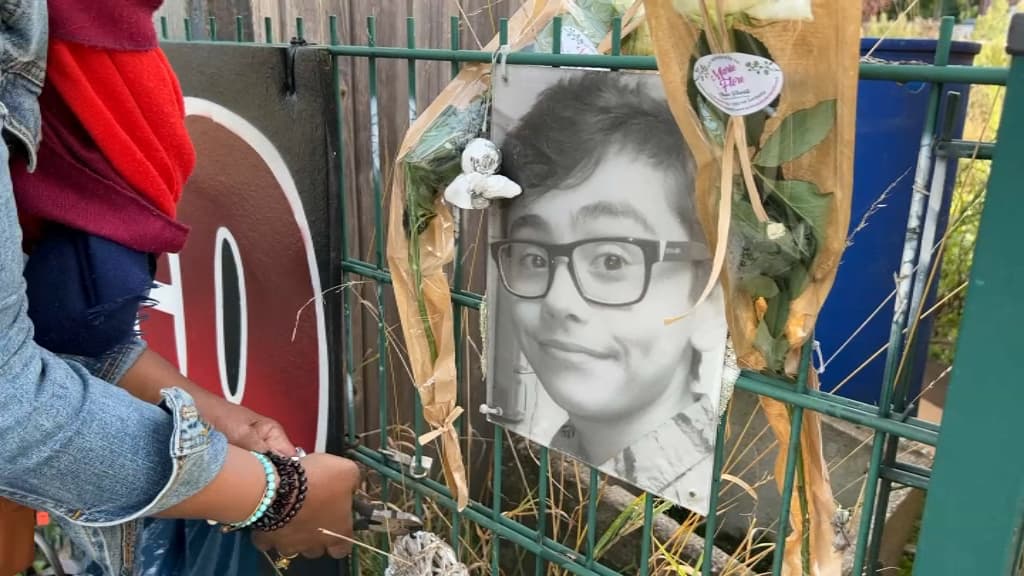 Mort de nicolas à un passage à niveau dans le nord: sncf réseau condamnée à 100. 000 euros d'amende