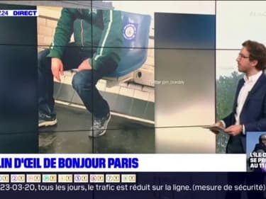 Le Clin d'Oeil : Parodie, Cours à distance, Transports et Opéra !