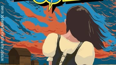 La couverture de la BD de Bastien Vivès "Les Melons de la Colère" La couverture de la BD de Bastien Vivès "Les Melons de la Colère"