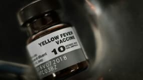 Flacon vide d'une dose de vaccin contre la fièvre jaune à Rio au Brésil dans un centre de santé, le 17 mars 2017 (Photo d'illustration)