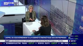 Entreprises: il faut mettre fin à l'absurdité écologique