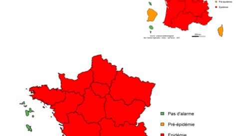 Niveau d’alerte régional de la bronchiolite, enfants de moins de 2 ans, en France du 1er au 7 novembre 2021 Niveau d’alerte régional de la bronchiolite, enfants de moins de 2 ans, en France du 1er au 7 novembre 2021