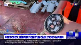 Port-Cros: intervention délicate sur un câble sous-marin