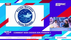 Comment bien choisir son poisson ?