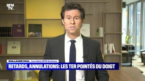 Retards, annulations: les TER pointés du doigt - 29/05