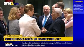 Pour l'économiste Nicolas Véron, le prêt de réparation proposé par l'Europe est "le meilleur plan pour aider l'Ukraine"
