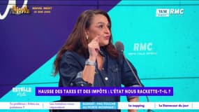 Hausse des impôts : "On nous taxe de tous les côtés", dénonce Yaël Mellul