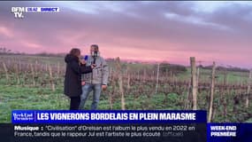 Crise du vin : les vignerons bordelais en plein marasme