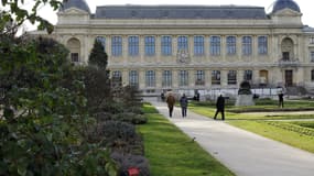 Visite guidée du jardin écologique du Muséum national d’Histoire naturelle de Paris