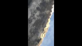 Coronavirus: avec le confinement, les canaux de Venise retrouvent leur clarté