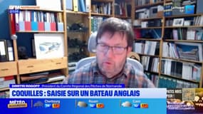 Un bateau anglais dérouté vers Le Havre, près d'une tonne de coquilles non réglementaires saisies