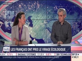 Les insiders (2/2): Les Français ont pris le virage écologique - 06/06
