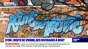 Lyon: les riverains de la route de Vienne à bout