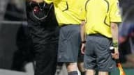 A Nice, entraîneur comme dirigeants en ont assez de l'arbitrage