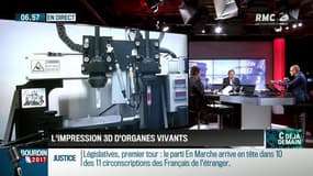 La chronique d'Anthony Morel: L'impression 3D d'organes vivants - 06/06