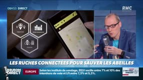 La chronique d'Anthony Morel : Les ruches connectées pour lutter contre la disparition des abeilles - 20/05