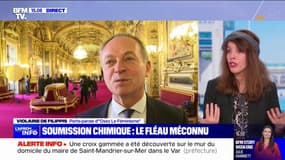 Sénateur accusé d'avoir drogué une députée: "Cette affaire nous rappelle une nouvelle fois qu'en réalité on ne court pas plus de risques dehors", rappelle Violaine de Filipps (Osez le féminisme)