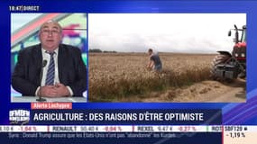 L'alerte Lechypre: Des raisons d'être optimiste pour le secteur de l'agriculture - 08/10