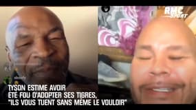 Tyson estime avoir été fou d'adopter ses tigres, "ils vous tuent sans même le vouloir"
