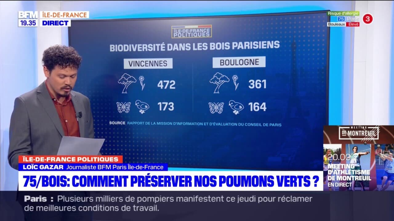 Quelles sont les particularités du bois de Vincennes et du bois de Boulogne?