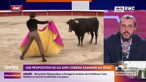 Une proposition de loi anti-corrida examinée au Sénat ce mercredi 