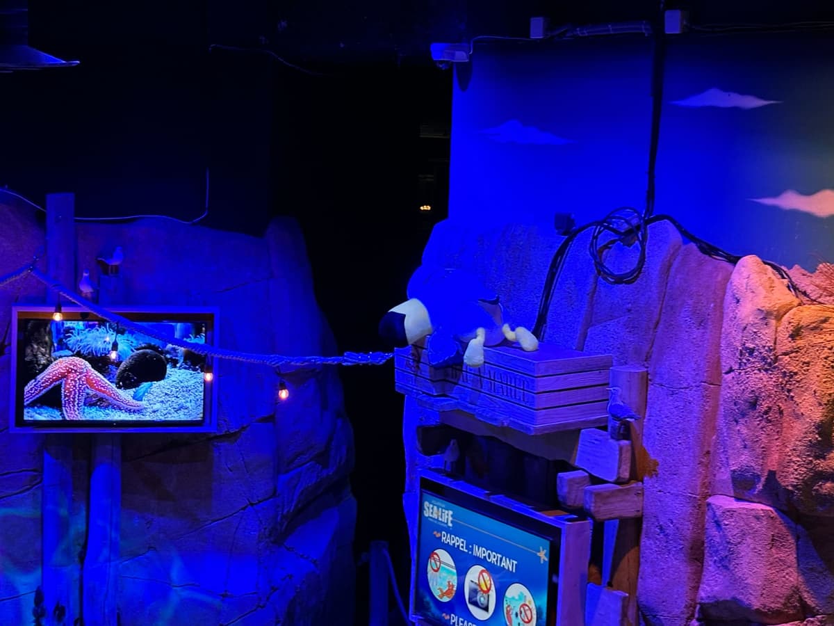 "C'est vraiment ludique": à Sea Life, on a rencontré les habitants d