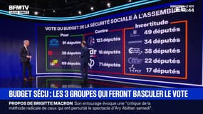 Quels sont les groupes qui vont voter pour le budget et ceux qui vont voter contre?