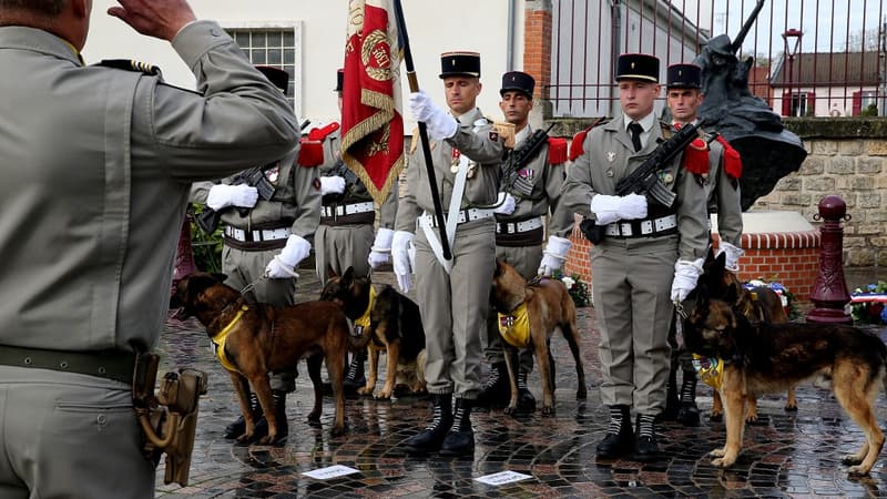 Un premier mémorial en France dédié aux chiens héros
