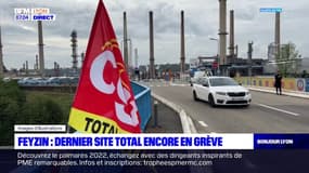 Feyzin: dernier site Total encore en grève
