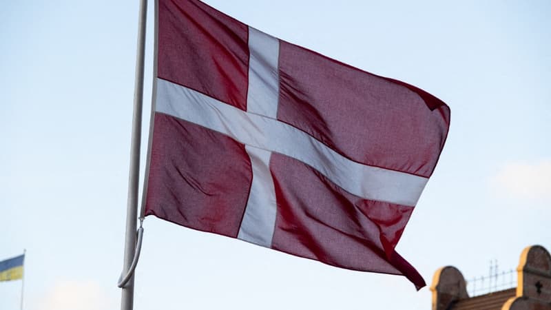 "Une avancée majeure": le Danemark devient le premier pays de l'Union européenne à éradiquer la transmission du VIH mère-enfant