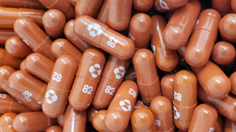 Cette photographie obtenue le 26 mai 2021 de la société pharmaceutique Merck montre des capsules du médicament antiviral expérimental molnupiravir.