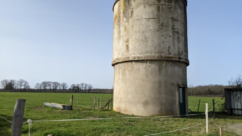 Terrain 1 200 m² Saint-Priest-Bramefant