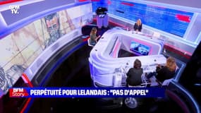 Story 3 : "Pas d'appel", perpétuité pour Lelandais - 18/02