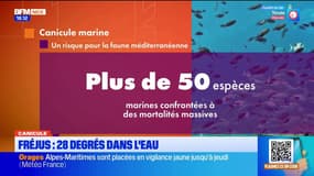 Le journal de 18h du mercredi 13 août 2025