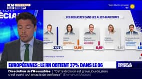 Européennes: le RN arrive en tête dans les Alpes-Maritimes, avec 37,73% des voix pour Jordan Bardella