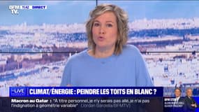 Faut-il repeindre les toits en blanc pour économiser de l'énergie? BFMTV répond à vos questions