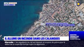 Marseille: un homme interpellé après un incendie à la Madrague