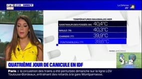 Canicule en Ile-de-France: dimanche, l'Ile-de-France était la région la plus chaude de France