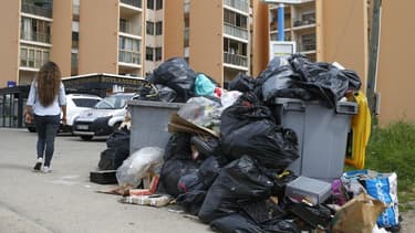 Sans incinérateur sur son territoire depuis avril 2017, l'île de Beauté ne dispose plus que de deux centres d'enfouissement techniques . (PHOTO D'ILLUSTRATION)