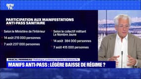 Manifs anti-pass : légère baisse de régime ? - 15/08