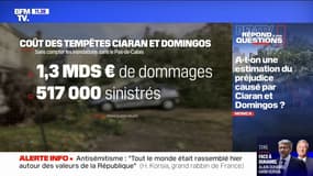 A-t-on une estimation du préjudice causé par les tempêtes Ciarán et Domingos? BFMTV répond à vos questions