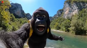 La vidéo générée par IA met en scène un gorille.