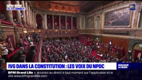 IVG dans la Constitution: quelles sont les voix des élus des Hauts-de-France