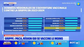 Grippe : La Provence en état d'alerte