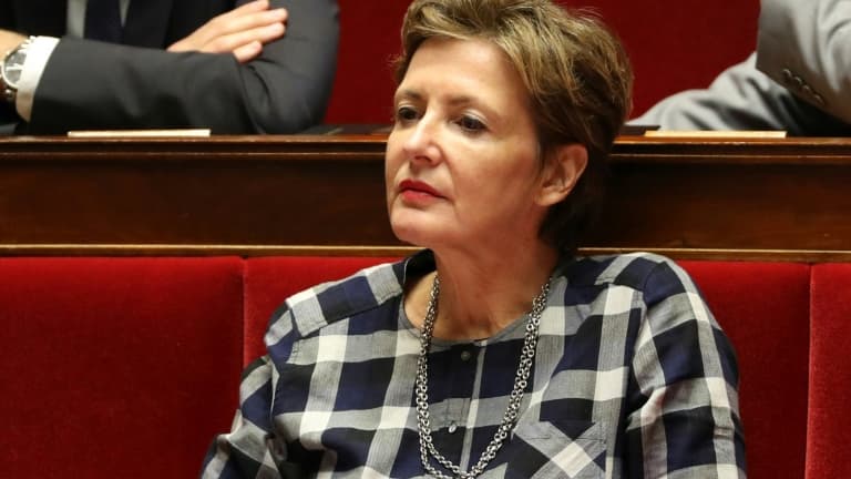 Frédérique Dumas à l'Assemblée nationale le 28 novembre 2017