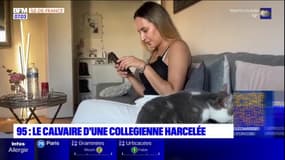 Val-d'Oise: harcelée, une collégienne développe la trichotillomanie