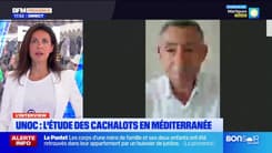 Planète Locale du mercredi 4 juin - UNOC, entretien avec François Sarano