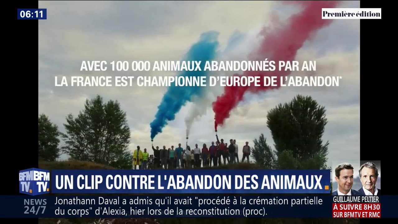 Le Nouveau Clip De 30 Millions D Amis Est Sorti Et Sachez Que La France Est Championne D Europe De L Abandon D Animaux