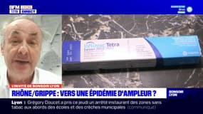 Vers une épidémie de grippe d'ampleur dans le Rhône? Pour le professeur Bruno Lina,  l'épidémie "pourrait monter en puissance au long du mois de décembre"