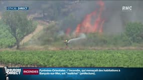 Sécheresse et multiples incendies: "Il faut se préparer à que ce type de scénario se renouvelle"